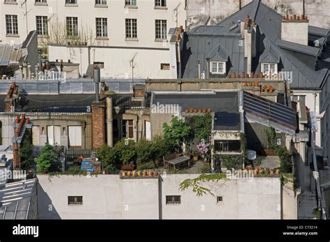 rooftop terrace garden rooftops  paris paris france stock photo  alamy