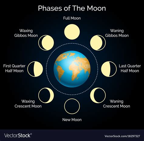 lunar cycle  plays quizizz