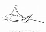 Manta Ray Draw Step Drawing Tutorials Drawingtutorials101 Animals Fishes sketch template