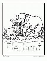Coloring Zoo Pages Animal Preschool Printables Animals Printable Print Writing Library Clipart Popular sketch template