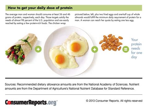 How Much Protein Should I Eat A Day Protein Sources