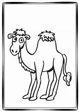 Camel Entitlementtrap sketch template
