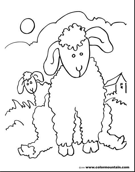 lamb sheep baby clipart outline clip coloring passover pages cute color