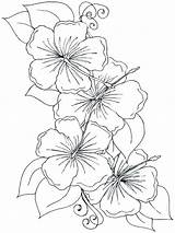 Coloring Hawaiian Pages Flower Flowers Color Drawing Printable Getcolorings sketch template