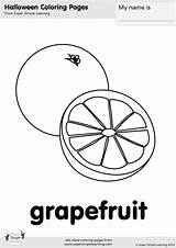 Grapefruit Coloring sketch template