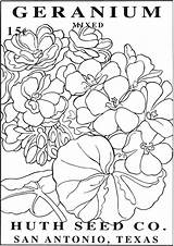 Coloring Flower Seed Packets Pages Vintage Book Doverpublications Dover Publications Colouring Drawing Titles Browse Complete Catalog Over sketch template