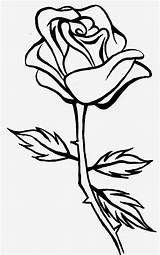 Rose Drawing Clipart Roses Line Drawings Outline Clip Simple Flower Clipartmag Paintingvalley 3d sketch template