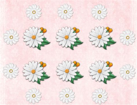 floral background  stock photo public domain pictures