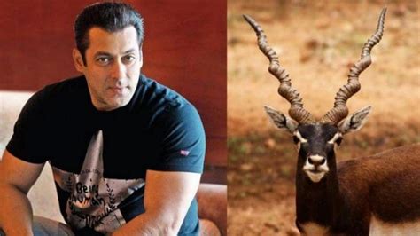 Actor Salman Khan Receives Death Threats Against Blackbuck