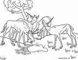 Herd sketch template