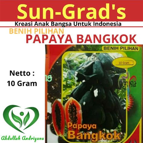 Jual Benih Pepaya Bangkok Unggulan Sun Grads Isi 10 Gram Bibit Pepaya