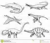 Mosasaurus Dinosaurs Ichthyosaur Barosaurus Velociraptor Pterosaur Ankylosaurus Elasmosaurus Diplodocus Dinosauri Fossili Dinosaurios sketch template