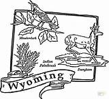 Coloring Wyoming Map Pages Arkansas State Color Printable Usa Tree Drawing Online Getcolorings Supercoloring States Dot sketch template