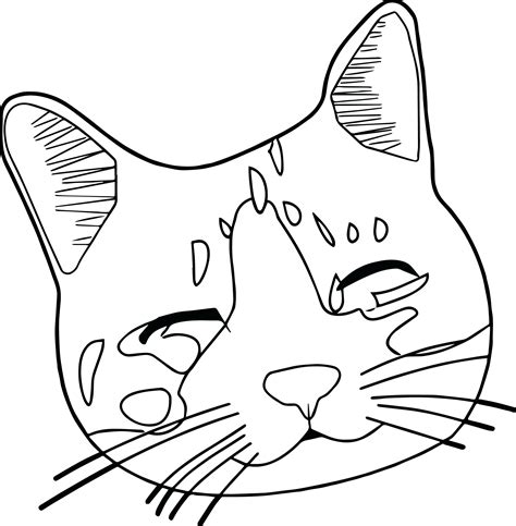 cat face coloring pages  getcoloringscom  printable colorings