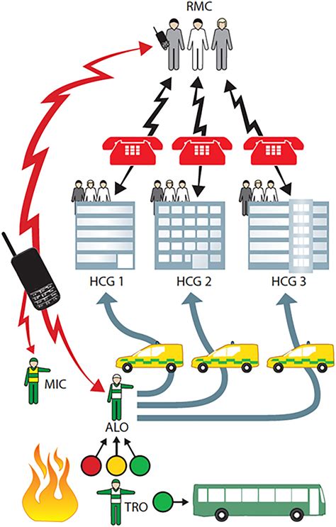 schematic illustration   coordination  scene ambulance  scientific diagram
