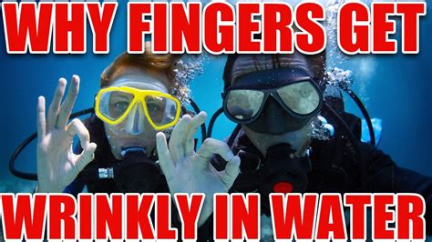 why fingers get wrinkly in water 5facts arivom with arivu