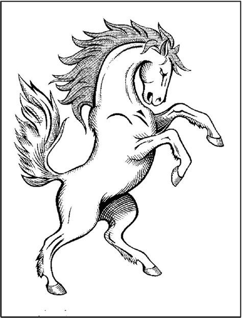 printable horse coloring pages  coloring horse coloring