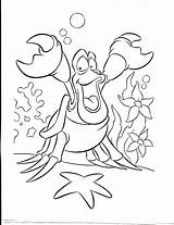 Ariel Ausmalbilder Colorir Arielle Sirenita Krebs Krabbe Imprimir Sereia Meerjungfrau Sirena Oceano Pequena Pintura Malen Nachzeichnen Fisch Dessin Colorier Páginas sketch template