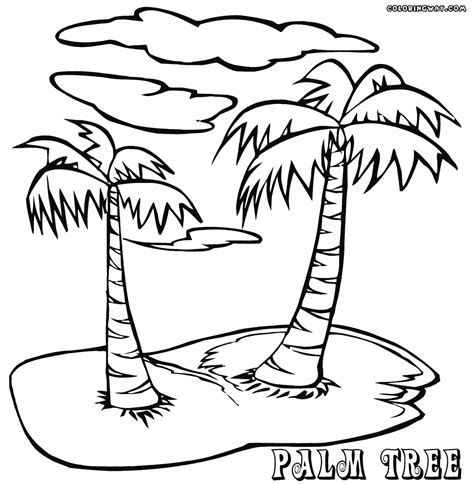 palm tree coloring picture page  kids   adults coloring home