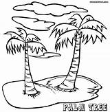 Palm Coloring Tree Pages Trees Drawing Adults Island Print Kids Printable Sheets Step Sheet Getdrawings Popular sketch template