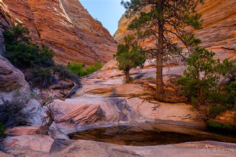 zion national park spry canyon  page