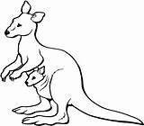 Kangaroo Cangur Planse Pui Colorat Canguro Kolorowanki Canguri Animale Kangaroos Canguros Plansa Copilul Dzieci Calut Kangury Joey Colorpage Educatie sketch template