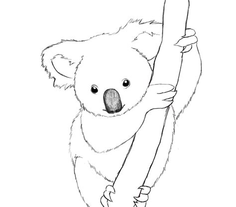 cute koala coloring pages  getdrawings