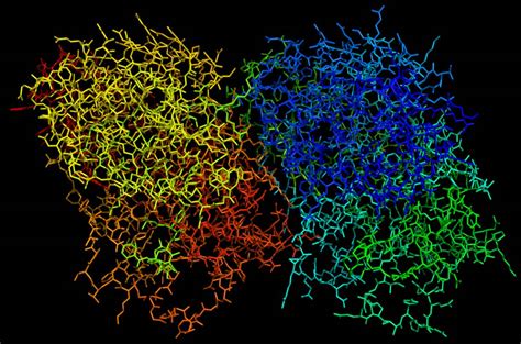 tubulin esthetics famous proteins  frames