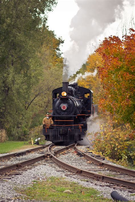 enjoy  scenic fall train ride   york  arcade  attica railroad