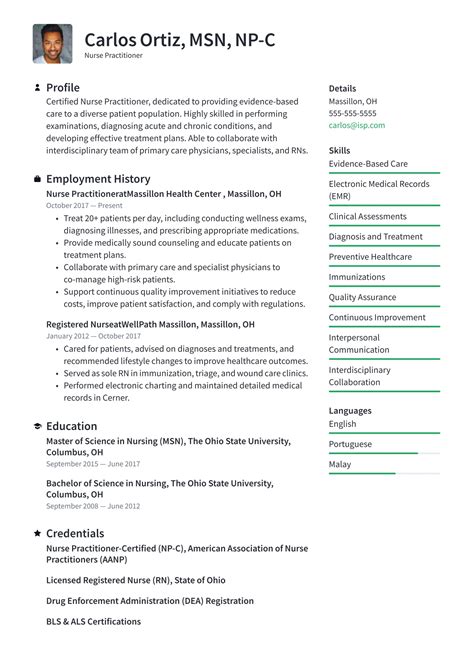 nurse practitioner resume examples writing tips   guide