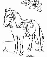 Horse Coloring Pages Wild Kids Horses Printable Sheets Print sketch template