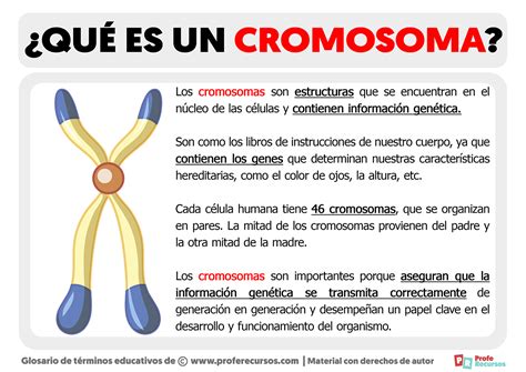 es  cromosoma