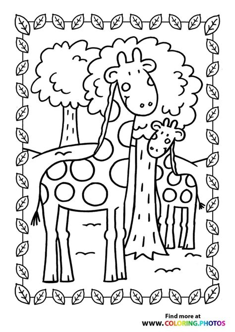 animals coloring pages  kids   easy print