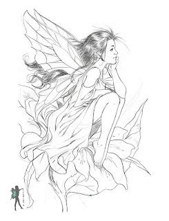 enchanted designs fairy mermaid blog  fairy coloring pages