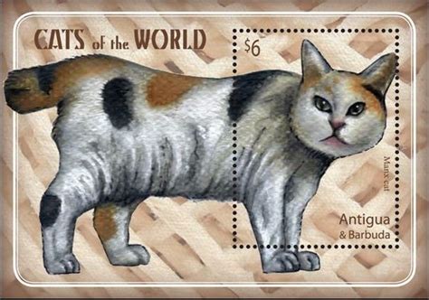 antigua  barbuda  cat stamp cats cat post
