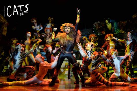 cats  musical  cancelled  shows  malaysia