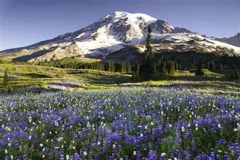 top  washington state attractions