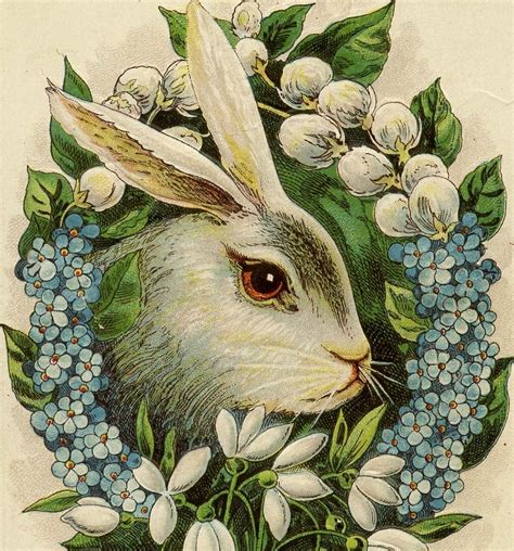 printable vintage bunny pictures bunny rabbit printable image