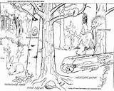 Forest Coloring Pages Printable Biome Para Enchanted Bosques Deciduous Colorear Habitat Pintar Sheet Color Print Woodland Kids Trees Tundra Imágenes sketch template