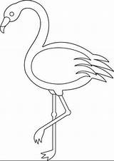 Flamingo Flamingos Boyama sketch template