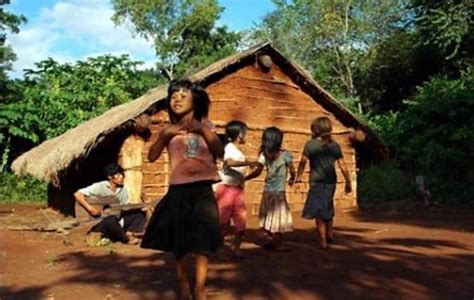 Restituyen 6 000 Hectáreas En Misiones A Comunidades Mbya Guaraní
