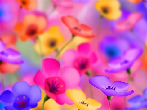 beautiful flower wallpaper images