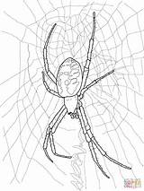 Spider Coloring Pages Garden Yellow Drawing Scary Creepy Printable Doll Furry Kids Spiders Redback Halloween Color Drawings Clip Getdrawings Animals sketch template