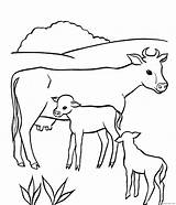 Coloring4free Cow Coloring Pages Mom Baby Related Posts sketch template