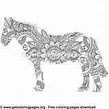 Horse sketch template