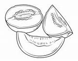 Melon Coloring Pages Cantaloupe Sliced Drawing Colouring Printable Melons Clip Sketch Supercoloring Designlooter Picolour Visit Template Honey 1962 44kb sketch template