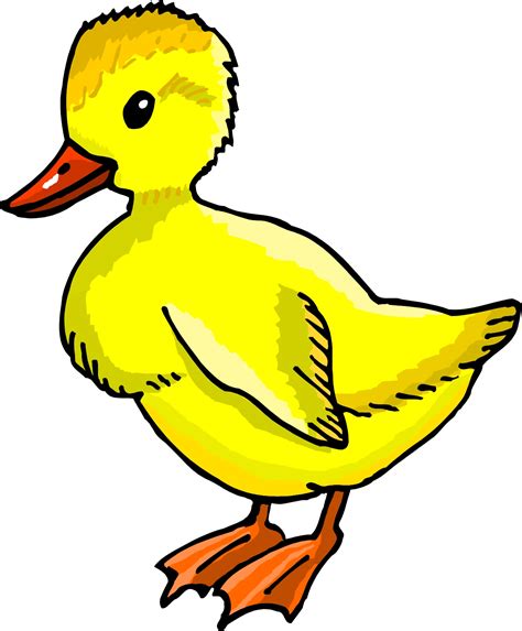 cartoon ducks images clipartsco