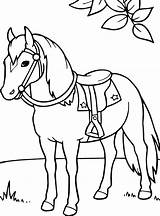 Paarden Kleurplaten Paard Pferde Malvorlage Manege Printen Paardrijden Ausmalbild Kleurplatenenzo Springen Wedstrijd Kleuren Kleurplaatjes Stimmen Dressuur Hond Cheval 1004 1025 sketch template