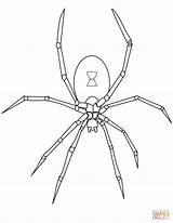 Spider Coloring Pages Halloween Printable Drawing sketch template