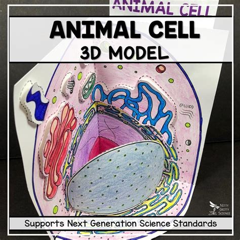 animal cell  grade plant  animal cell diagram class  ncert youtube  elephant